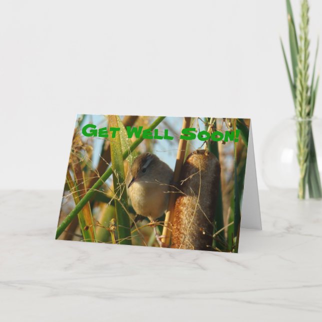 B3 Marsh Wren i Cattails Kort (Framsida)