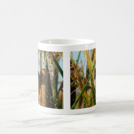 B3 Marsh Wren Kaffemugg