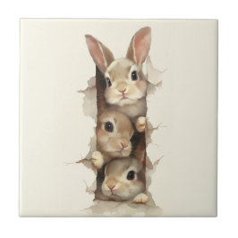B3 Three Bunnies 3D Illusion Kakelplatta