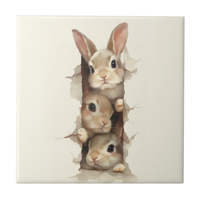 B3 Three Bunnies 3D Illusion  Kakelplatta (Framsidan)