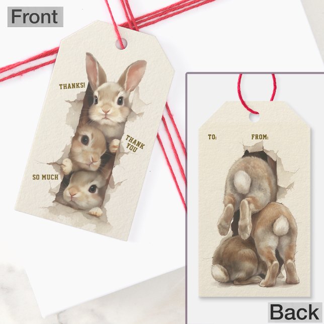 B3 Three Bunnies 3D Illusion  Presentetikett (Skapare uppladdad)