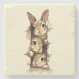 B3 Three Bunnies 3D Illusion Stenunderlägg