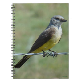 B44 Western Kingbird Anteckningsbok