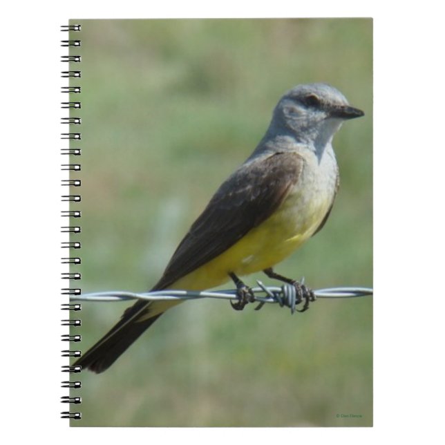 B44 Western Kingbird Anteckningsbok (Framsidan)