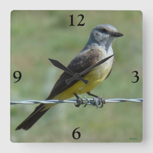 B44 Western Kingbird Fyrkantig Klocka