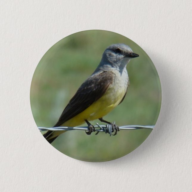 B44 Western Kingbird Knapp (Framsida)