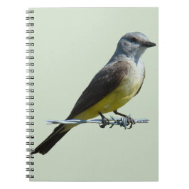 B45 Western Kingbird Anteckningsbok