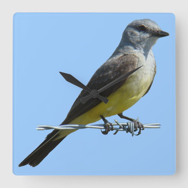 B45 Western Kingbird Fyrkantig Klocka (Framsida)