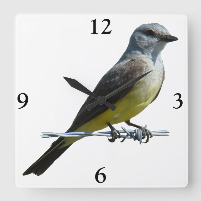 B45 Western Kingbird Fyrkantig Klocka (Framsida)