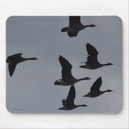 B46 Kanadensiska gäss i flykt Musmatta