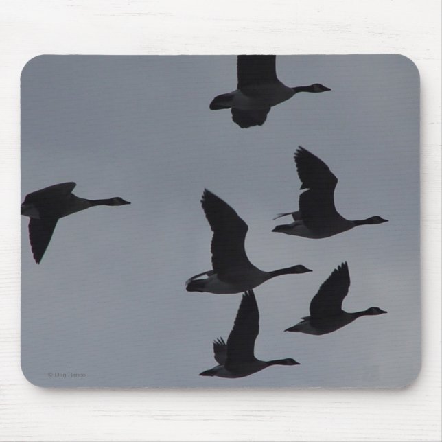 B46 Kanadensiska gäss i flykt Musmatta (Framsidan)