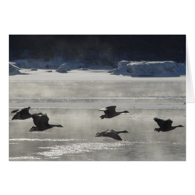 B47 Kanadensiska gäss över Fryst flod Hälsningskort (Framsidan Horizontal)