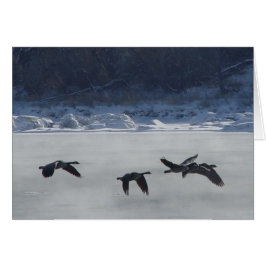 B48 Kanadensisk gäss över Fryst flod Hälsningskort