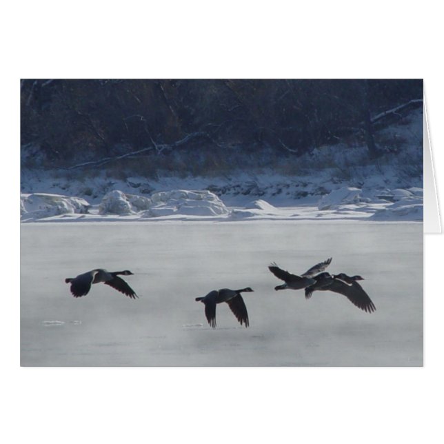 B48 Kanadensisk gäss över Fryst flod Hälsningskort (Framsidan Horizontal)