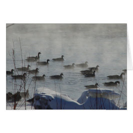 B49 Kanadensiska gäss på Fryst flod Hälsningskort