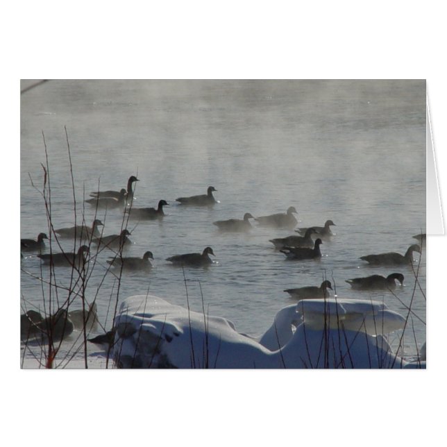 B49 Kanadensiska gäss på Fryst flod Hälsningskort (Framsidan Horizontal)