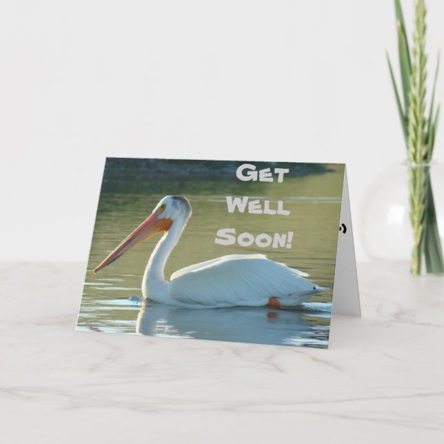 B4 Vit Pelikan Kort (Framsida)