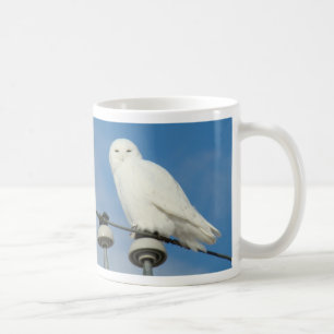 B50 Snöuggla Kaffemugg