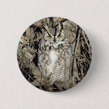 B51 Större hornuggla