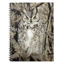 B51 Underbara Uggla Anteckningsbok