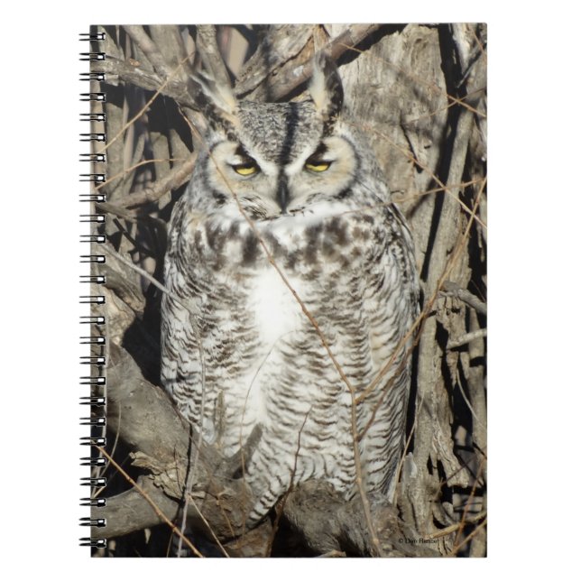 B51 Underbara Uggla Anteckningsbok (Framsidan)