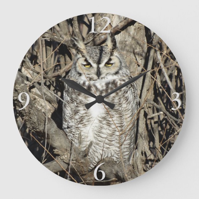 B51 Underbara Uggla Stor Klocka (Framsida)