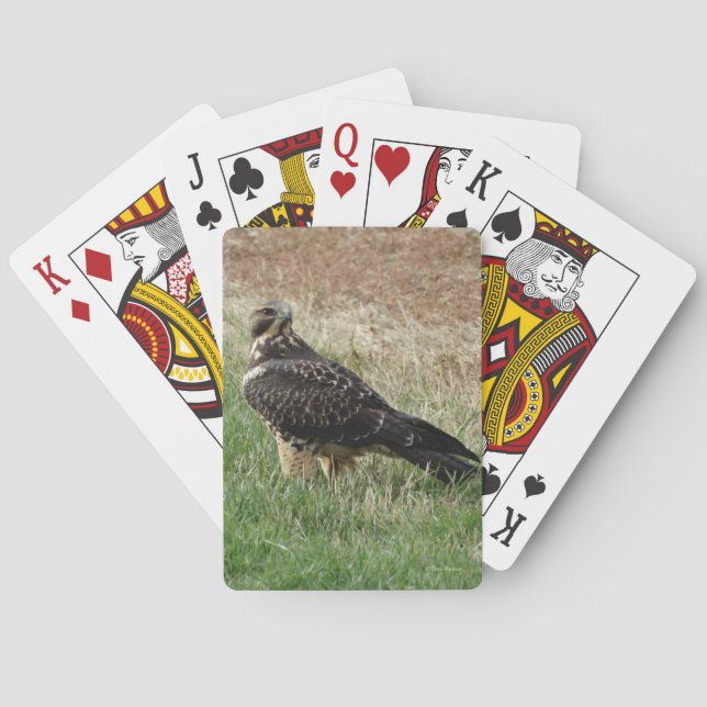 B52 Svartstrupig hök Casinokort (Baksidan)