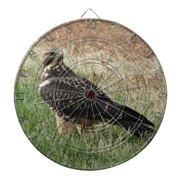 B52 Swainsons Hawk Darttavla (Framsidan)