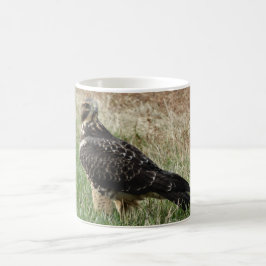 B52 Swainsons hök Kaffemugg