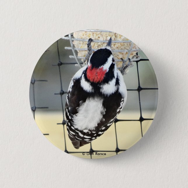 B53 Dunhaked woodpecker Knapp (Framsida)