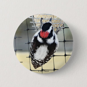 B53 Dunhaked woodpecker Knapp