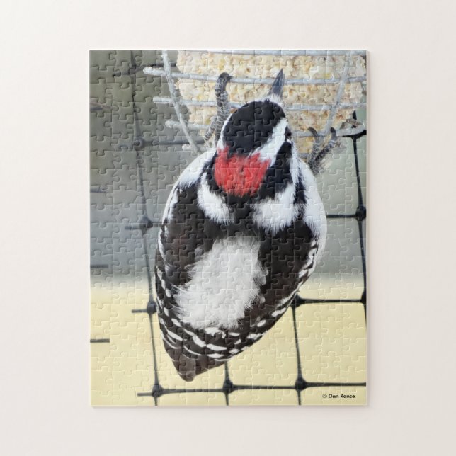 B53 Dunhaked woodpecker Pussel (Vertikal)