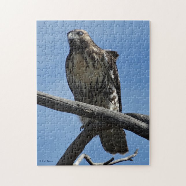 B54 Svartsnårsglada Pussel (Vertikal)