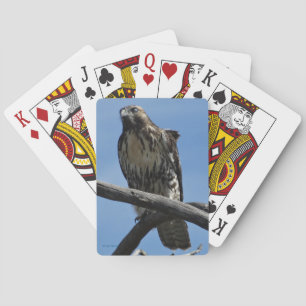 B54 Svartsnultra Casinokort