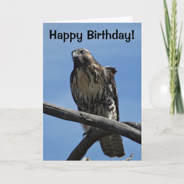 B54 Swainsons Hawk Kort (Framsida)