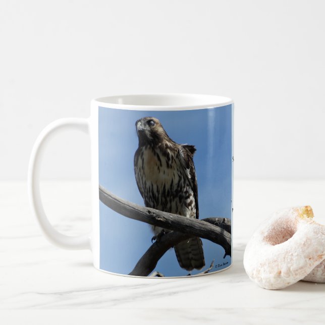 B54 Swainsons hök Kaffemugg (Med munk)