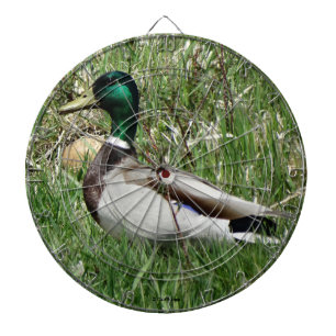 B55 Mallard Anka Drake Greenhead i Grass Darttavla