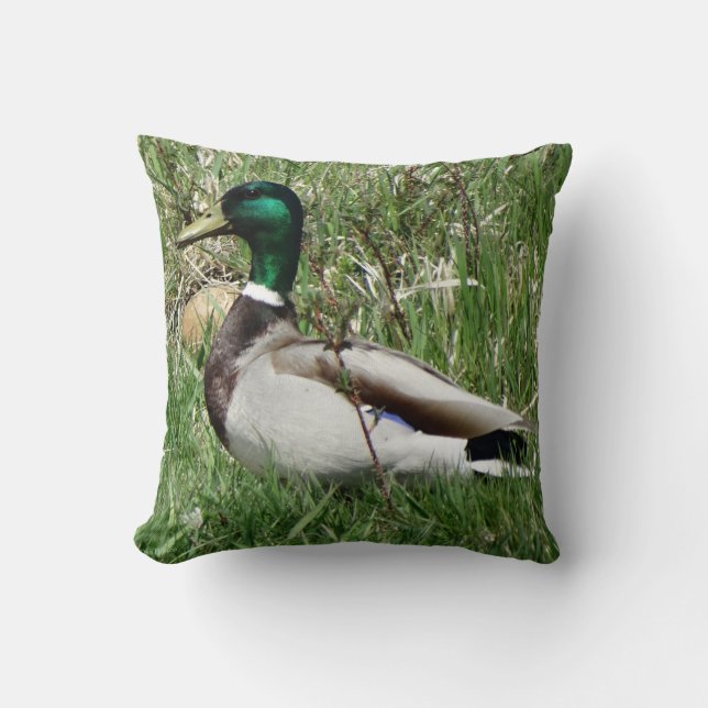 B55 Mallard Anka Drake Greenhead i Grass Kudde (Framsida)
