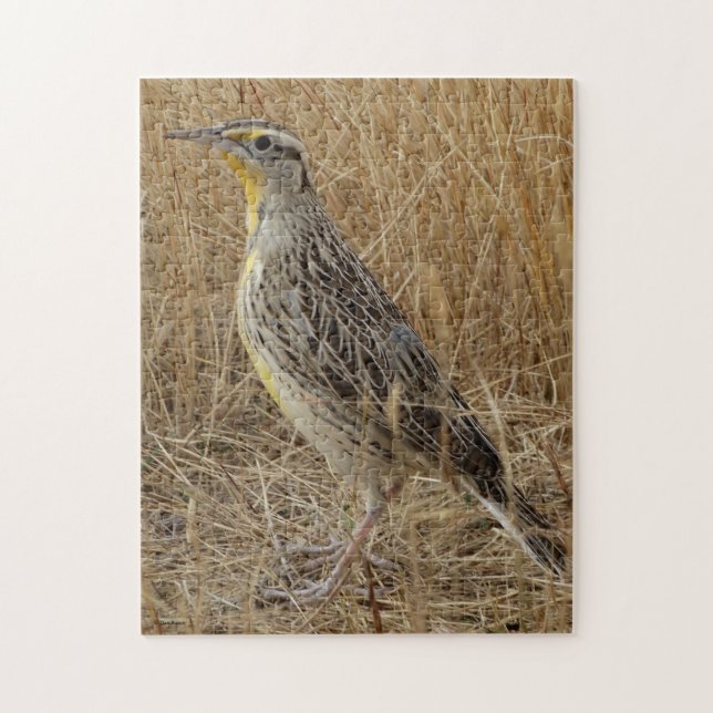 B57 Western Meadowlark Pussel (Vertikal)