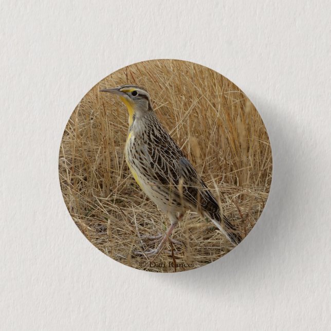 B57 westerna Meadowlark Knapp (Framsida)