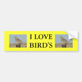 B6 Western Meadowlark Bildekal