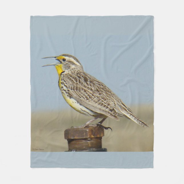 B6 Western Meadowlark Fleecefilt (Framsidan)