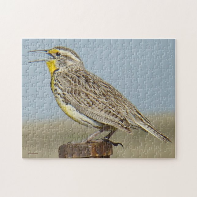 B6 Western Meadowlark Pussel (Horisontell)