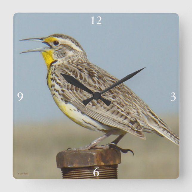 B6 westerna Meadowlark Fyrkantig Klocka (Framsida)
