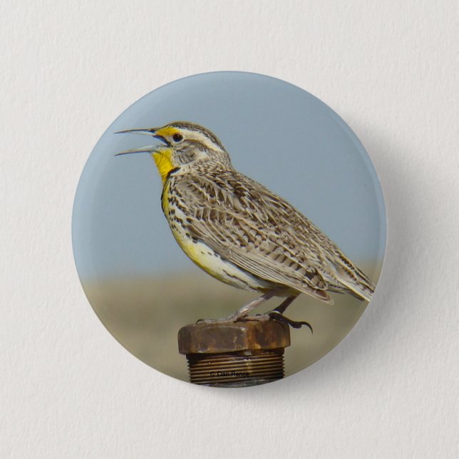 B6 westerna Meadowlark Knapp (Framsida)