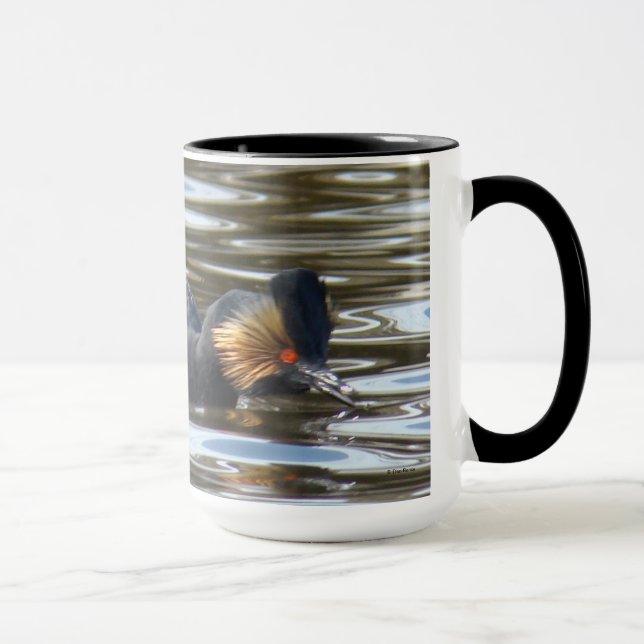 B8 Eared Grebe Courting Mugg (Höger)