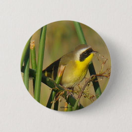 B9 Vanlig gulstrupe Knapp