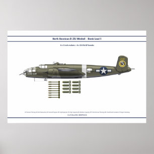 B-25 Belastning 1 Poster