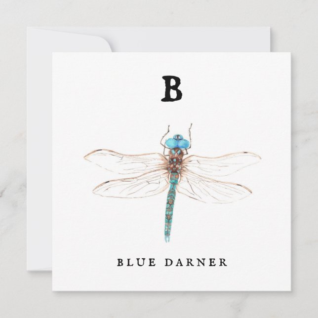 "B" Blue Darner (Framsida)