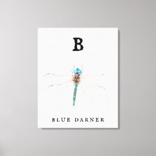 "B" Blue Darner Canvastryck
